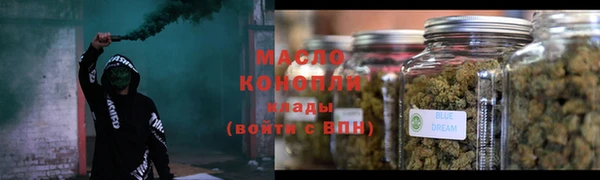мдпв Богородицк