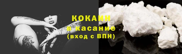 соль ск Богданович